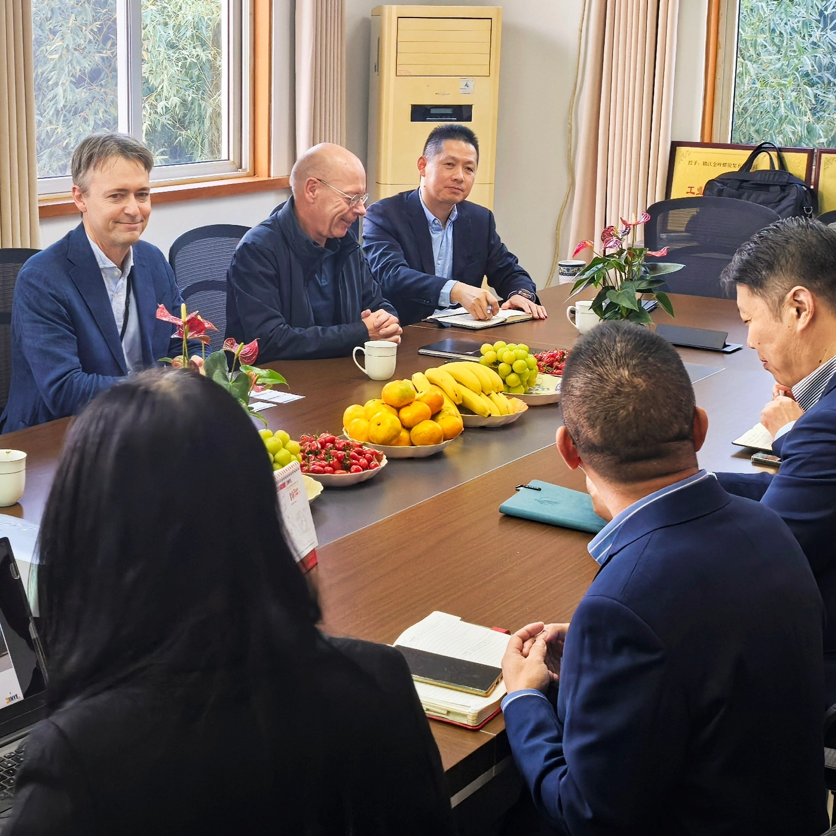 Il signor Bernd Bertram, vicepresidente dell'azienda di propulsione Marine Power Wartsila, e il suo team hanno visitato Zhenjiang Jinye Propeller Co., ltd il 7 novembre 2024